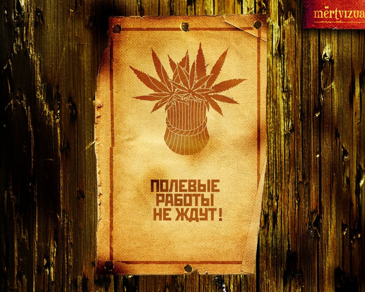 Сбор веселого урожая