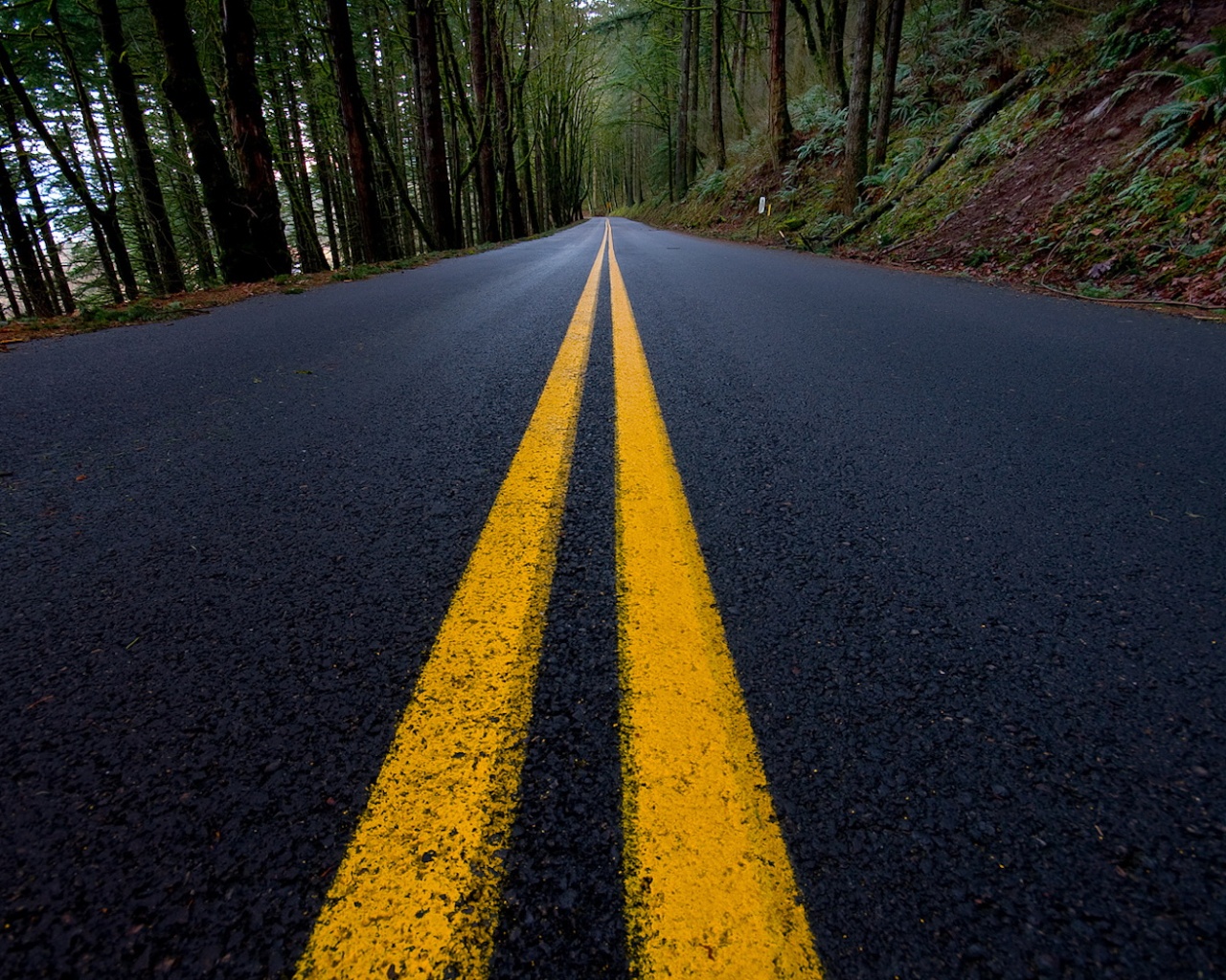 Сплошная линия