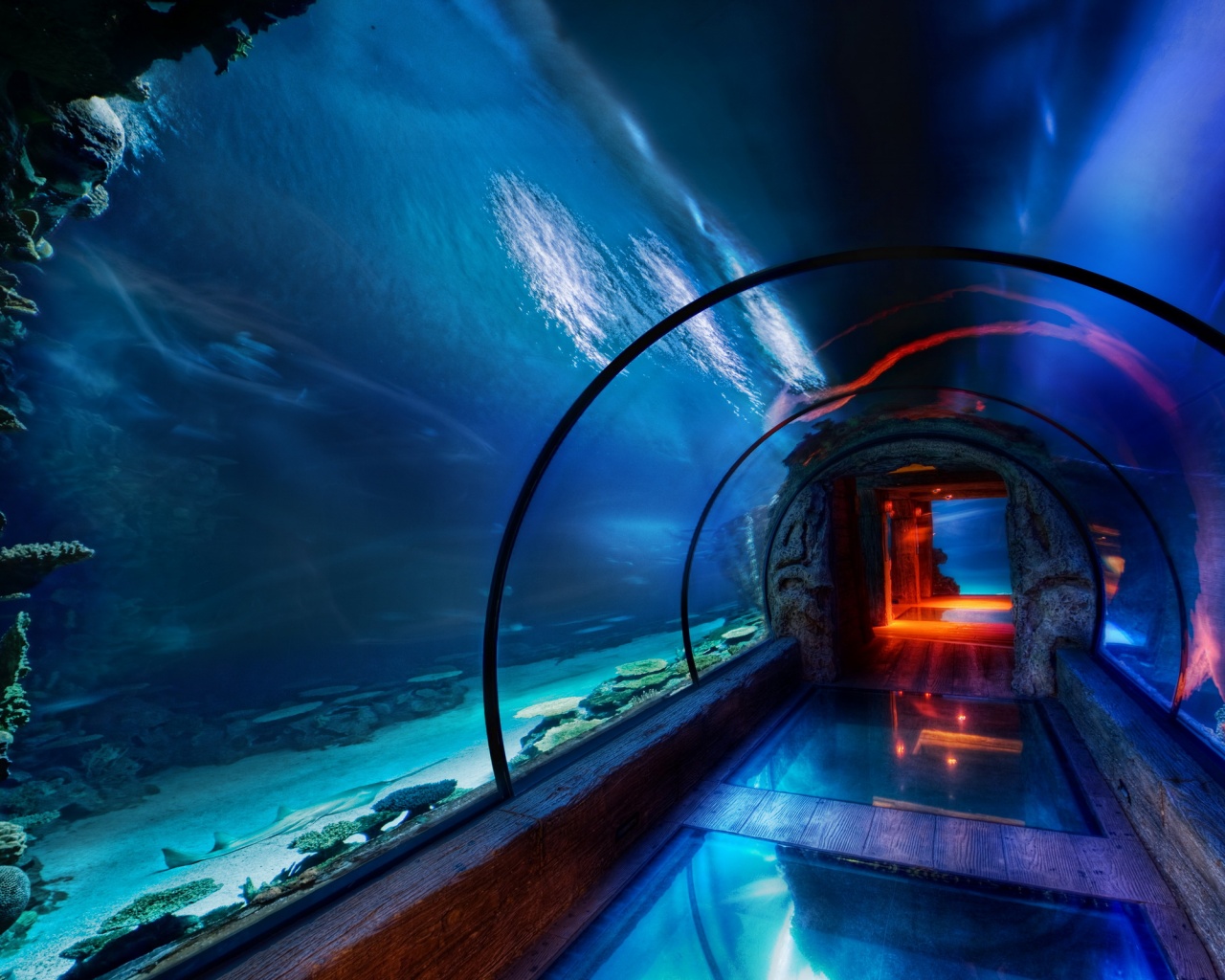 Подводный музей