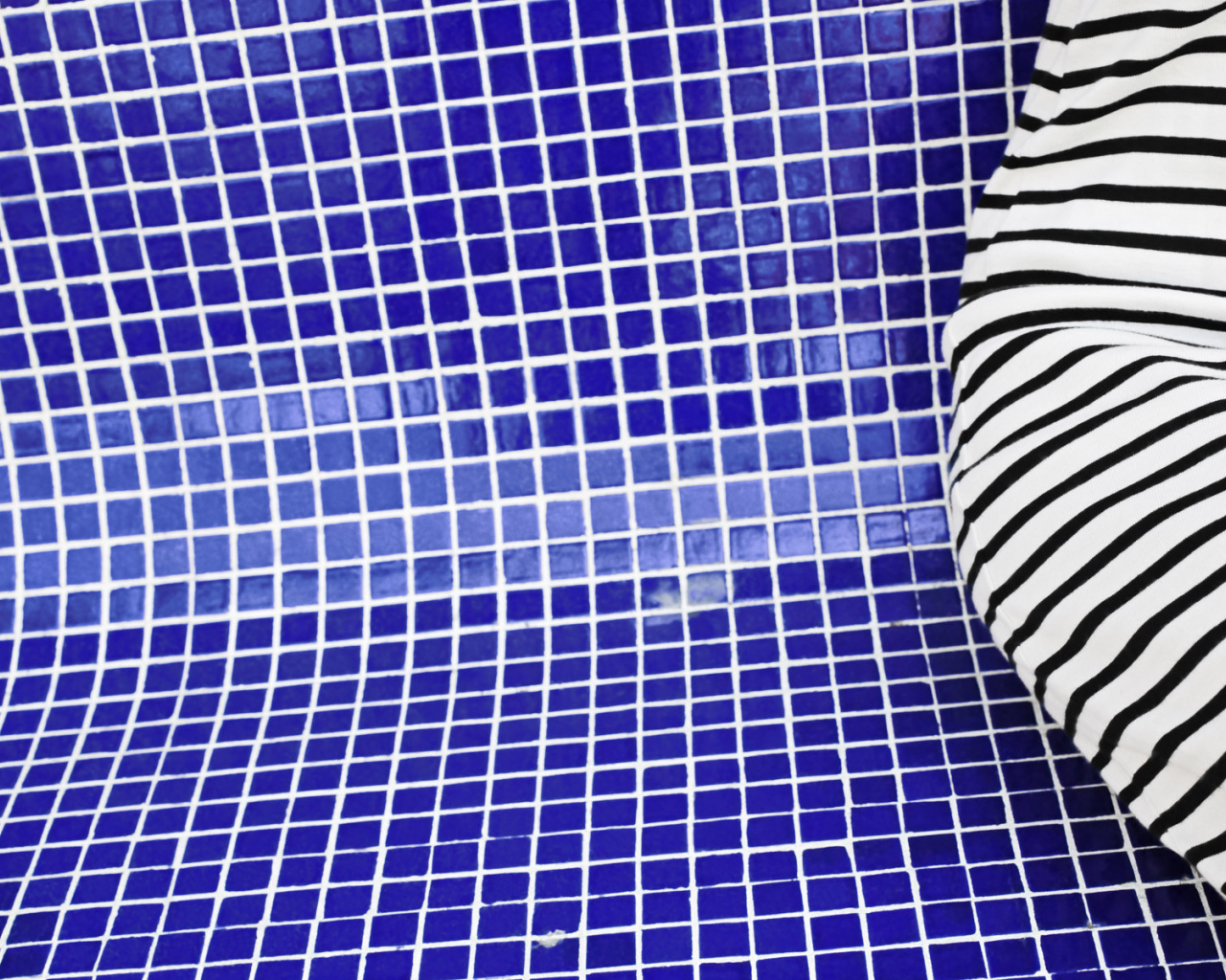 Зебра в бассейне