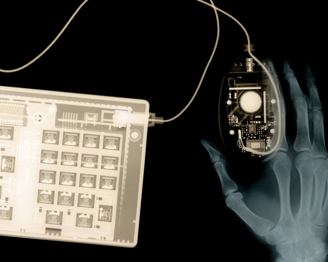 Рентген клавиатуры и мышки