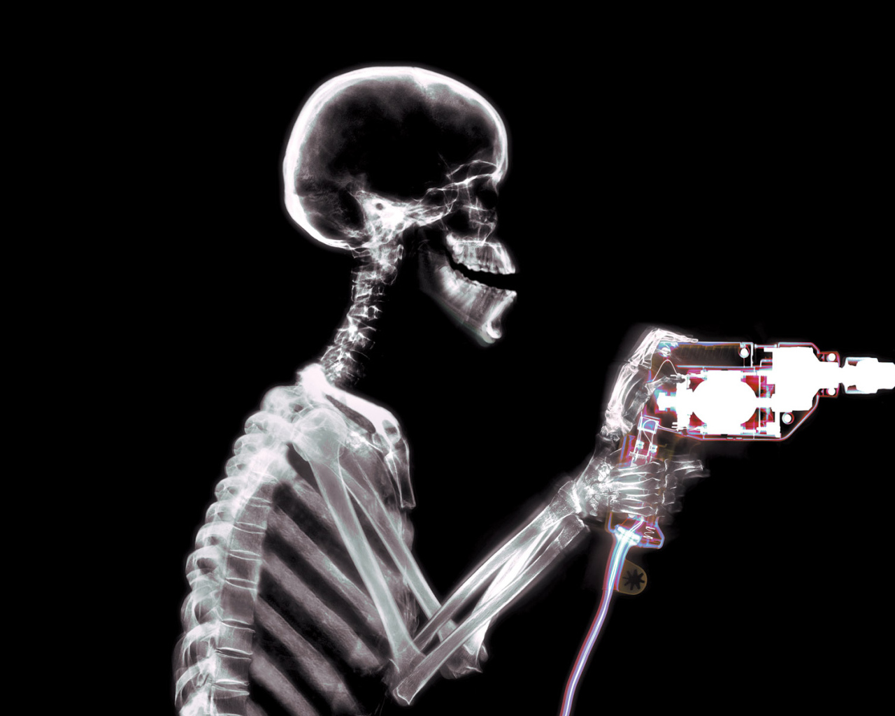 Шумный сосед