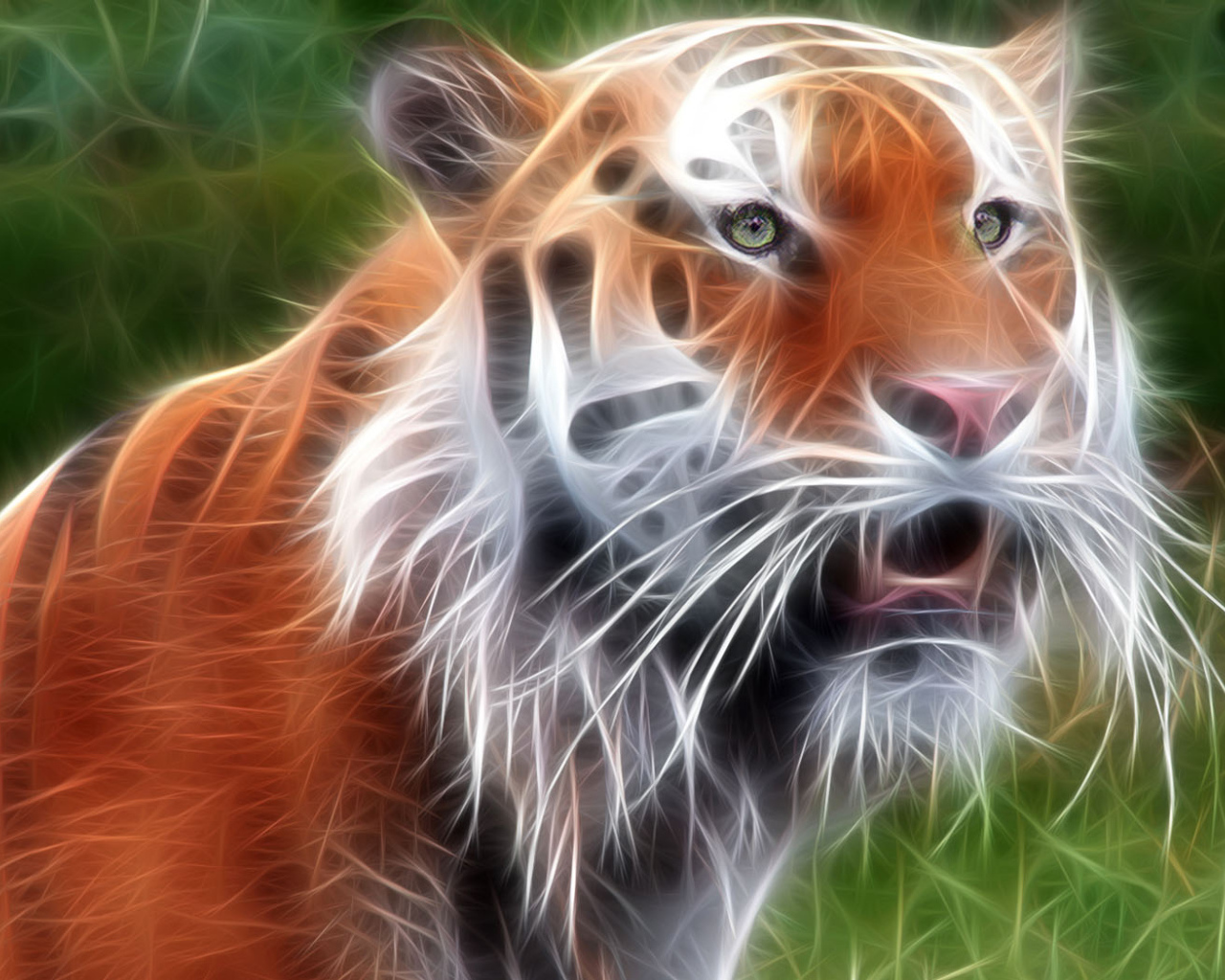 Красавец тигр