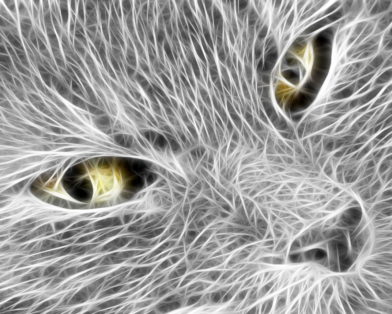 Кошачья мордочка