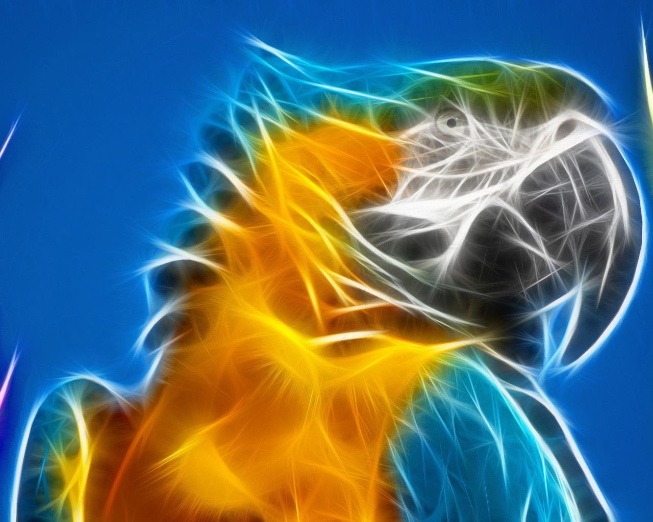 Разноцветный попугай