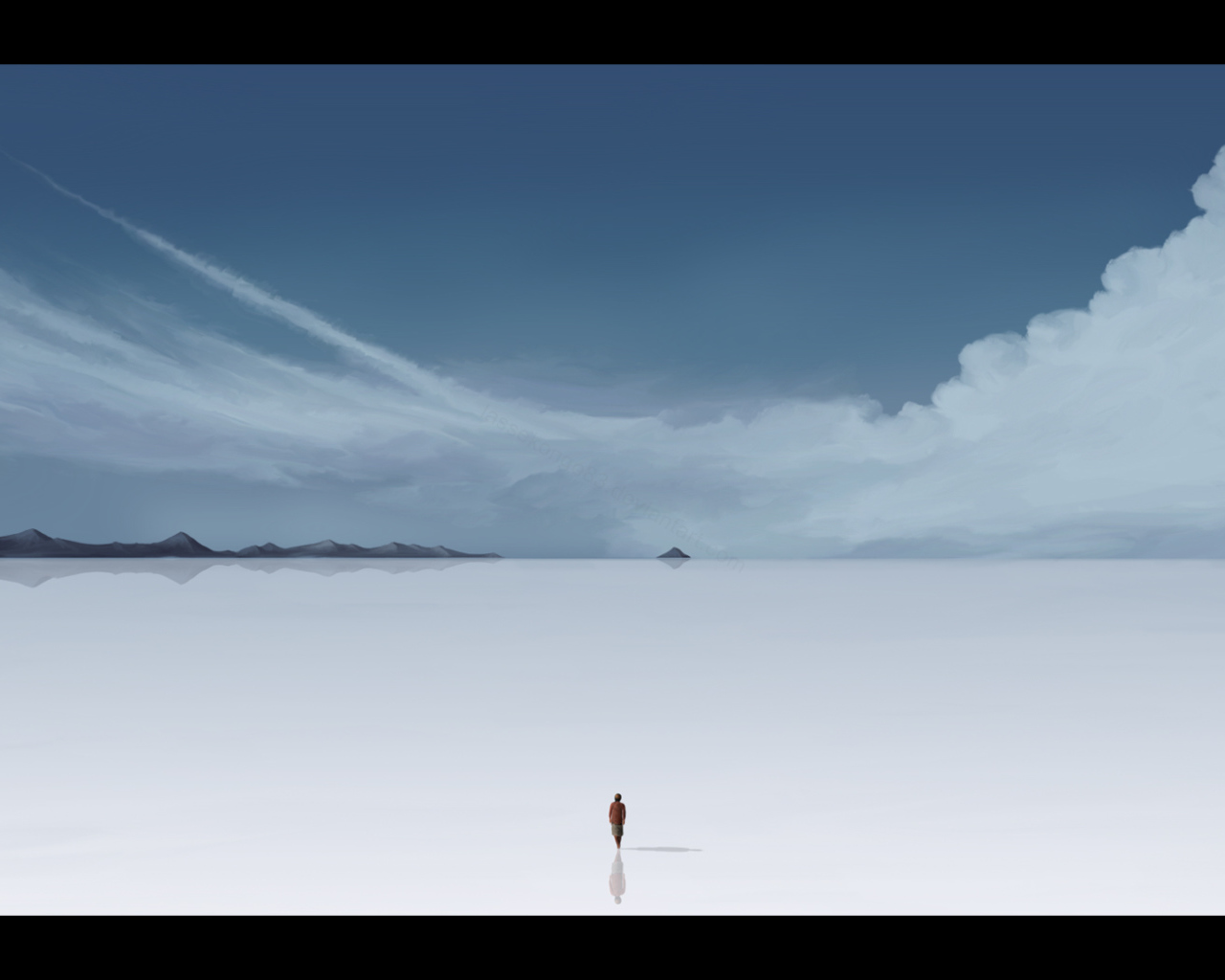 Соленое отражение