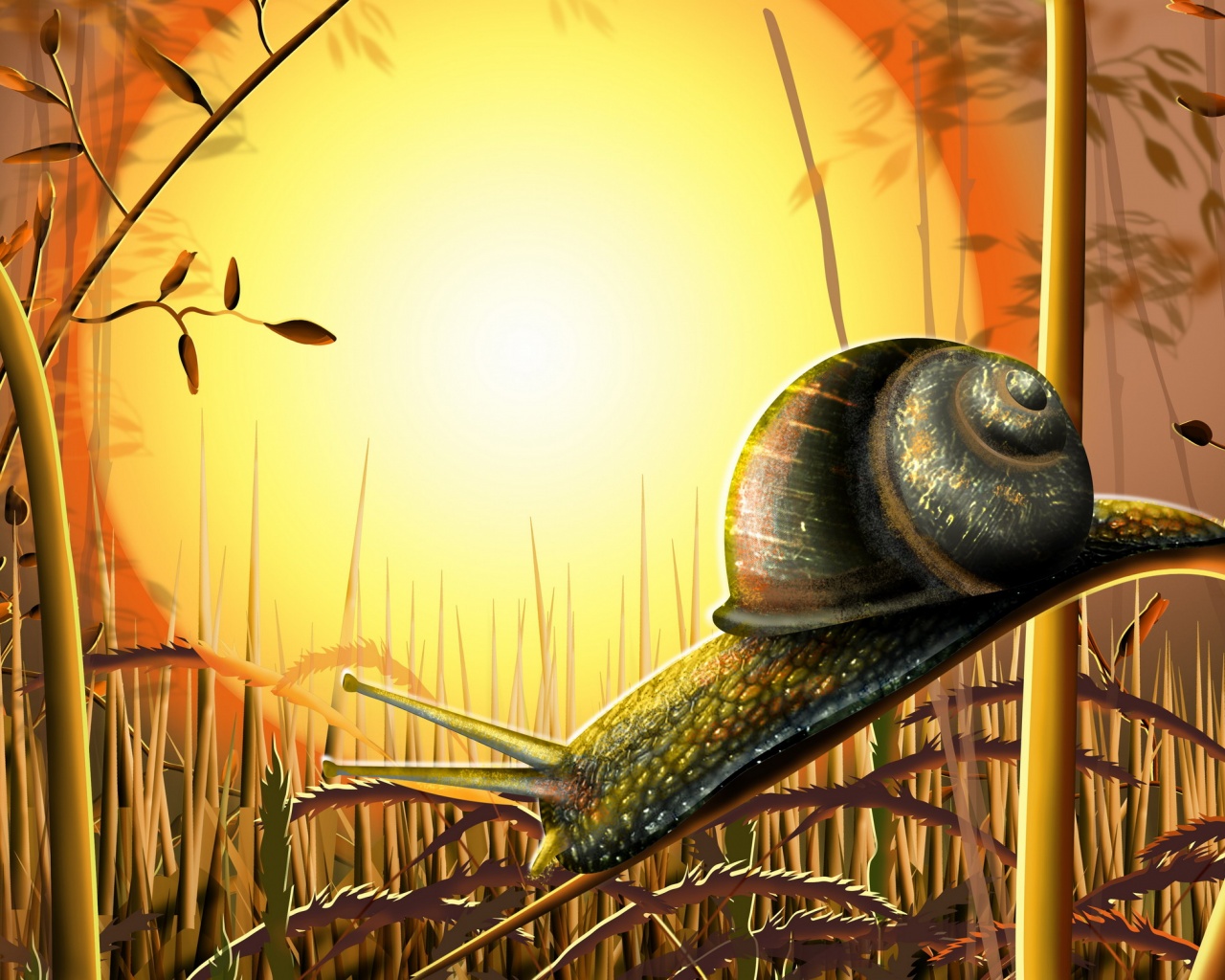 Улитка под солнцем
