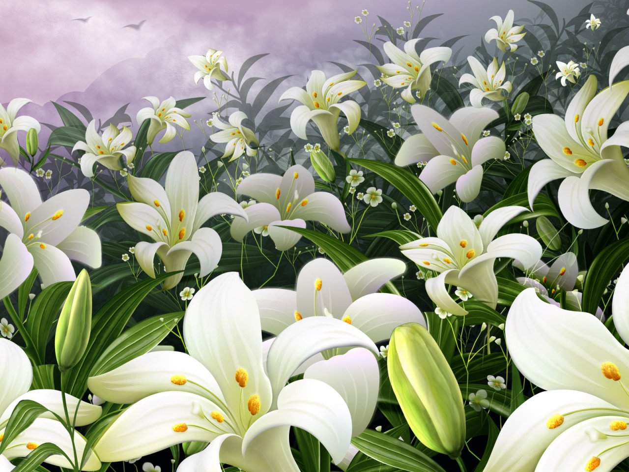 Поле белых цветов