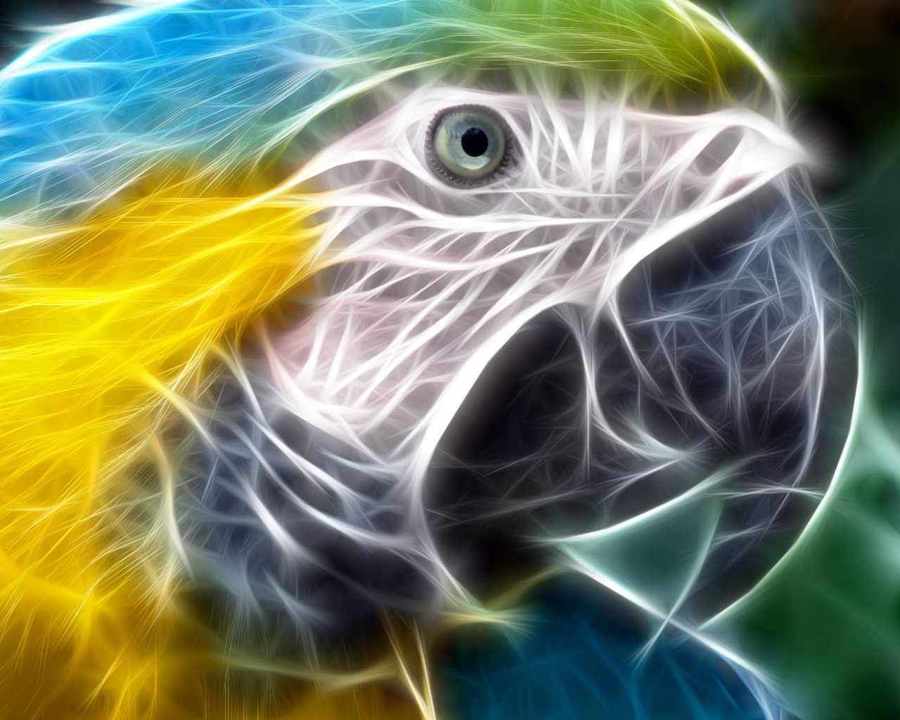 Тропический попугай