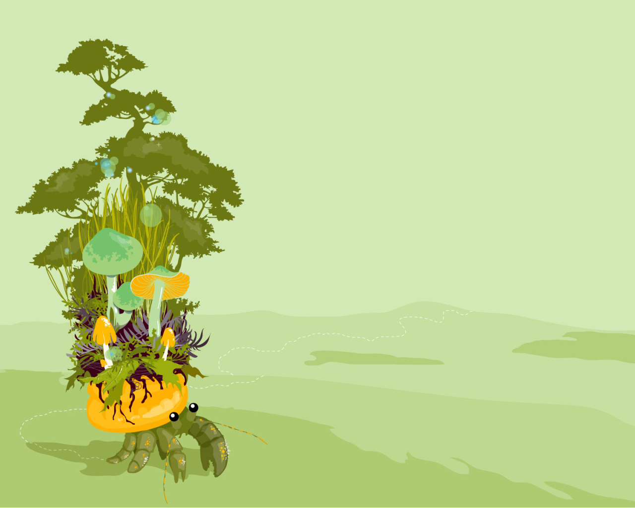 Грибы  на панцире