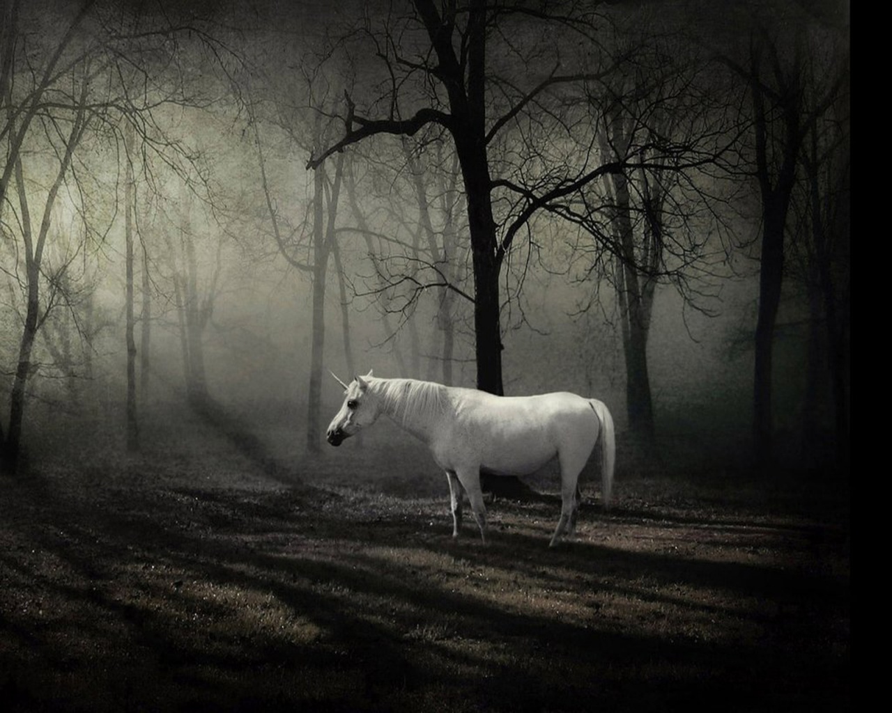 Сказочное животное