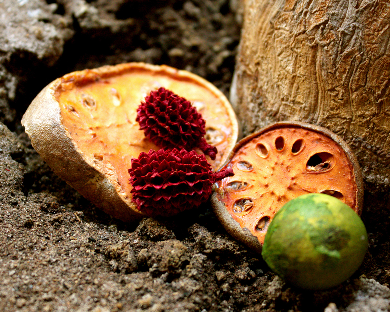 Сушеные фрукты