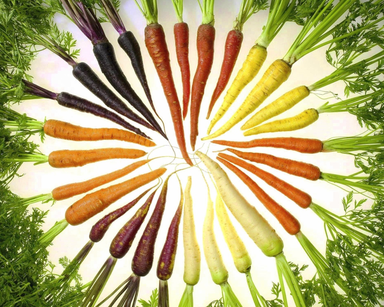 Цветная морковка