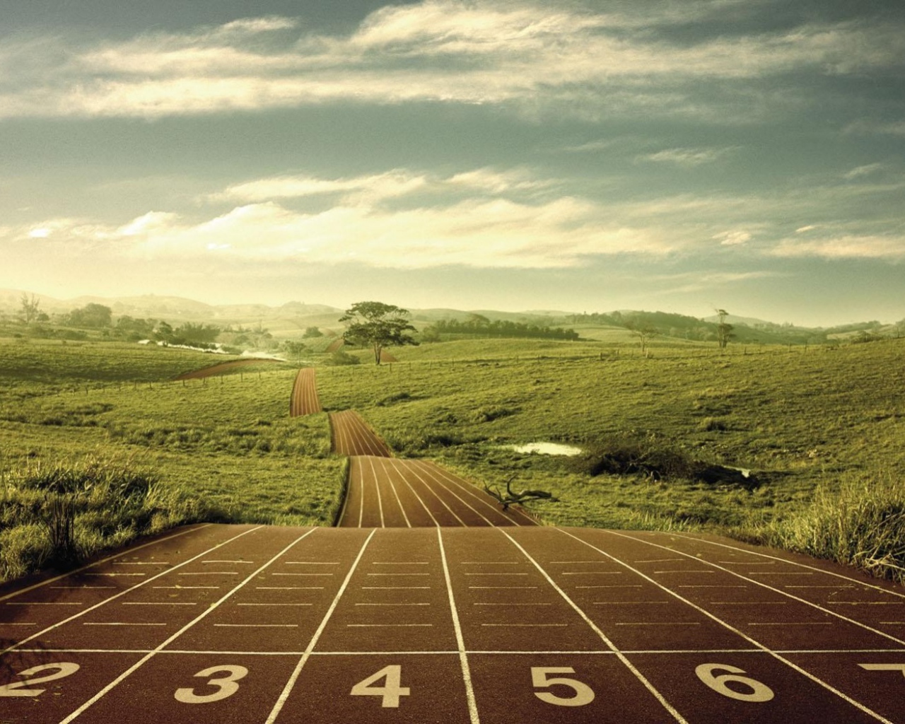 Беговая дорожка