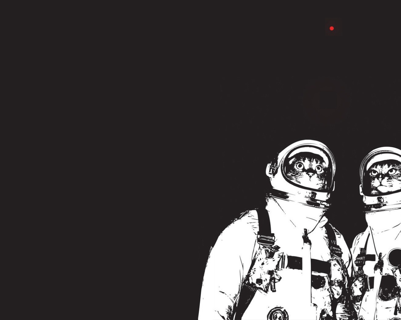 Коты космонавты