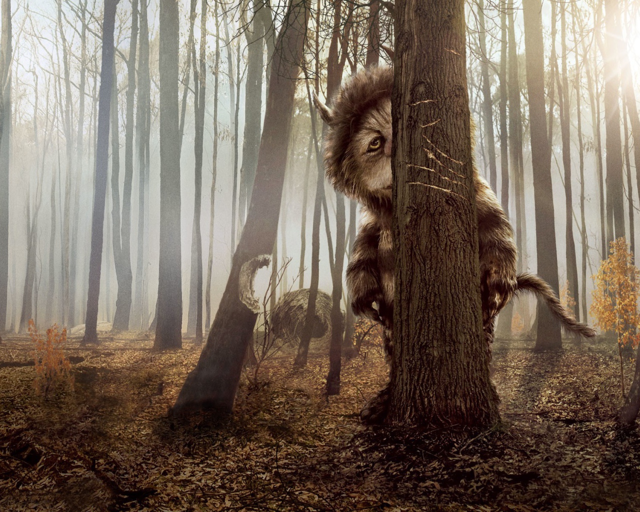 КотоПёс кэжуал