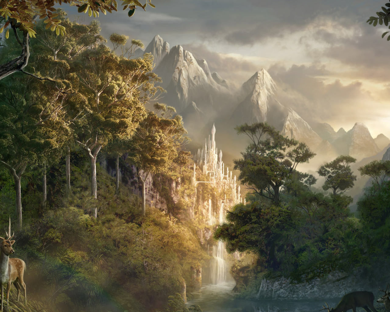 Магический лес