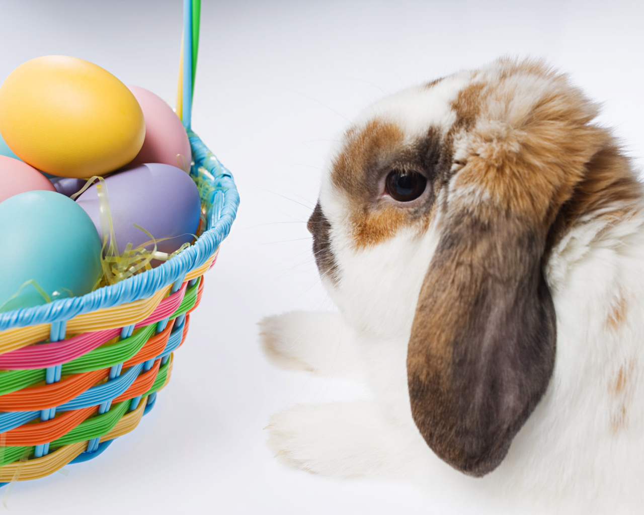 Пасхальный кролик