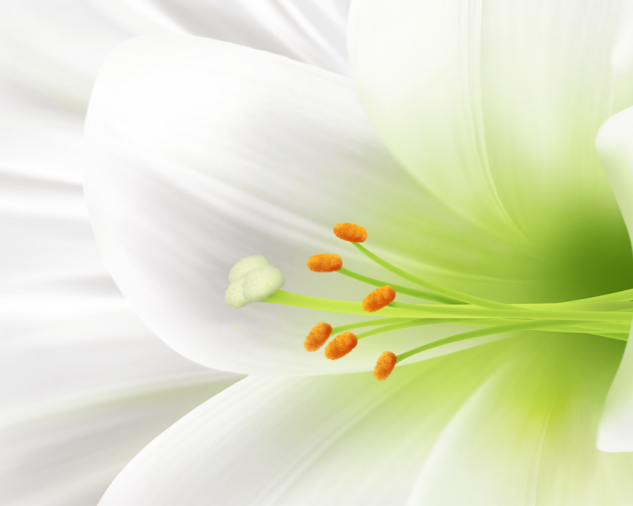 Пасхальный цветок