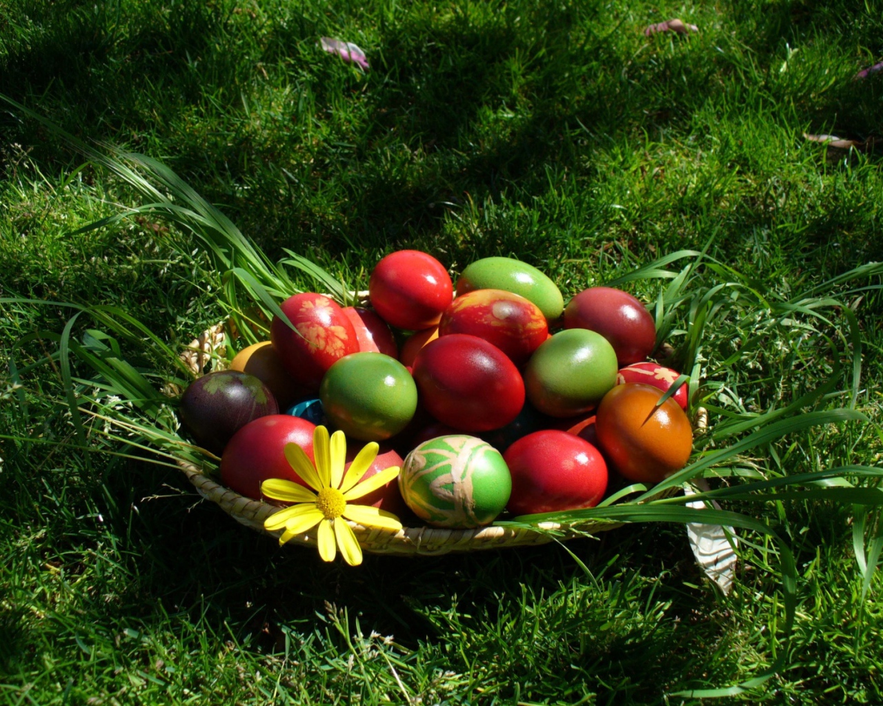 Крашеные Пасхальные яйца