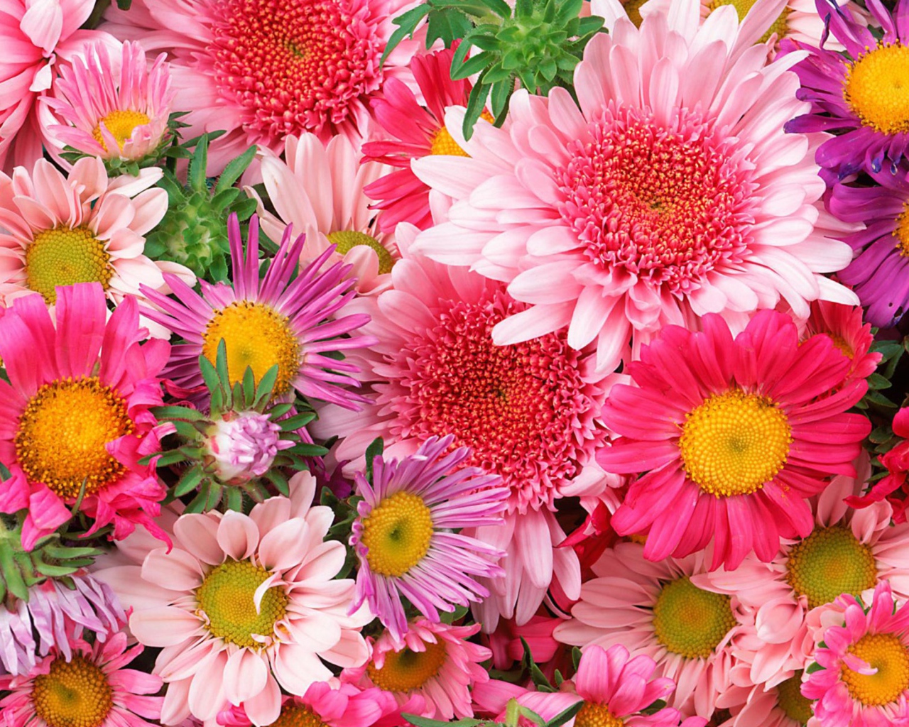 Красивые цветы на 8 марта