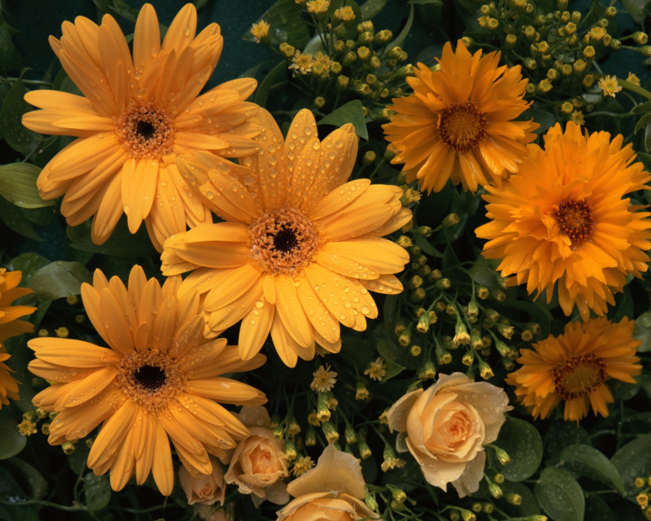 Цветы любимой женщине