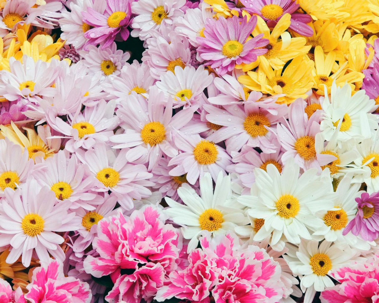 Цветы дорогим женщинам