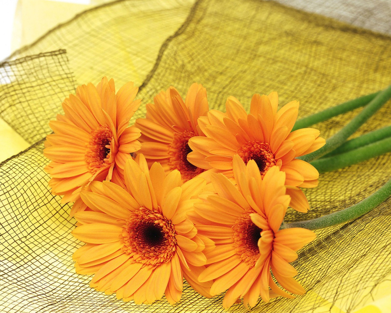 Цветы для самой красивой