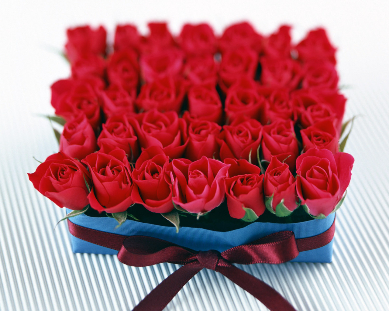 Розы в подарок на 8 марта