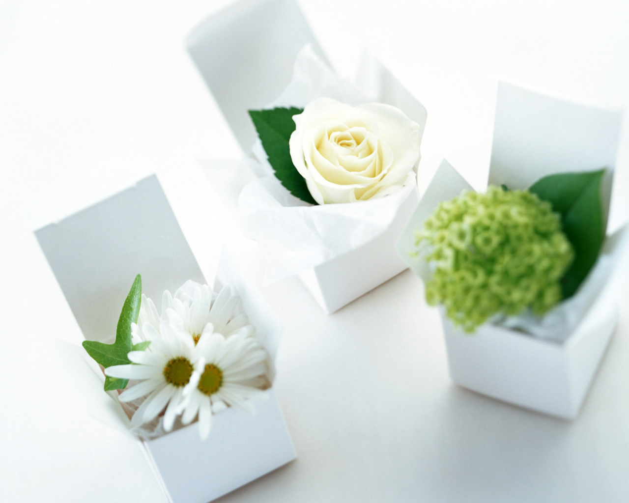 Сюрприз на 8 марта