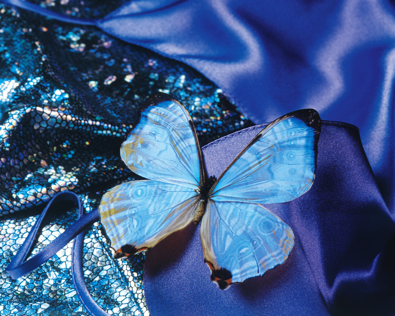 Любимый женский праздник