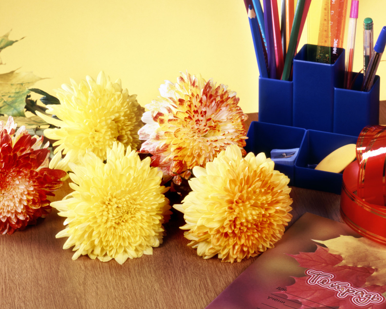 Снова за парту