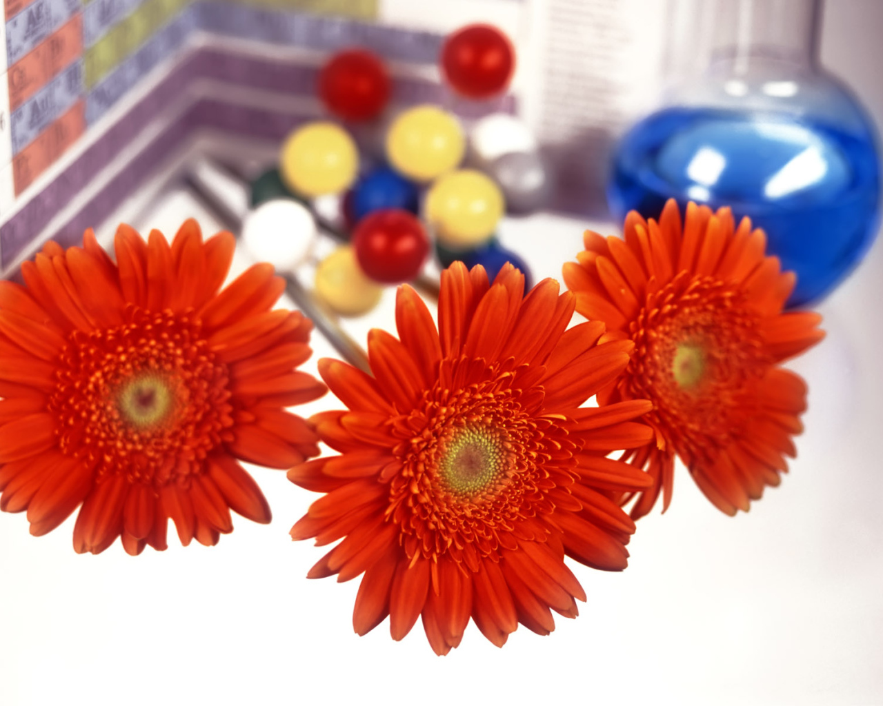 Первый день учебы