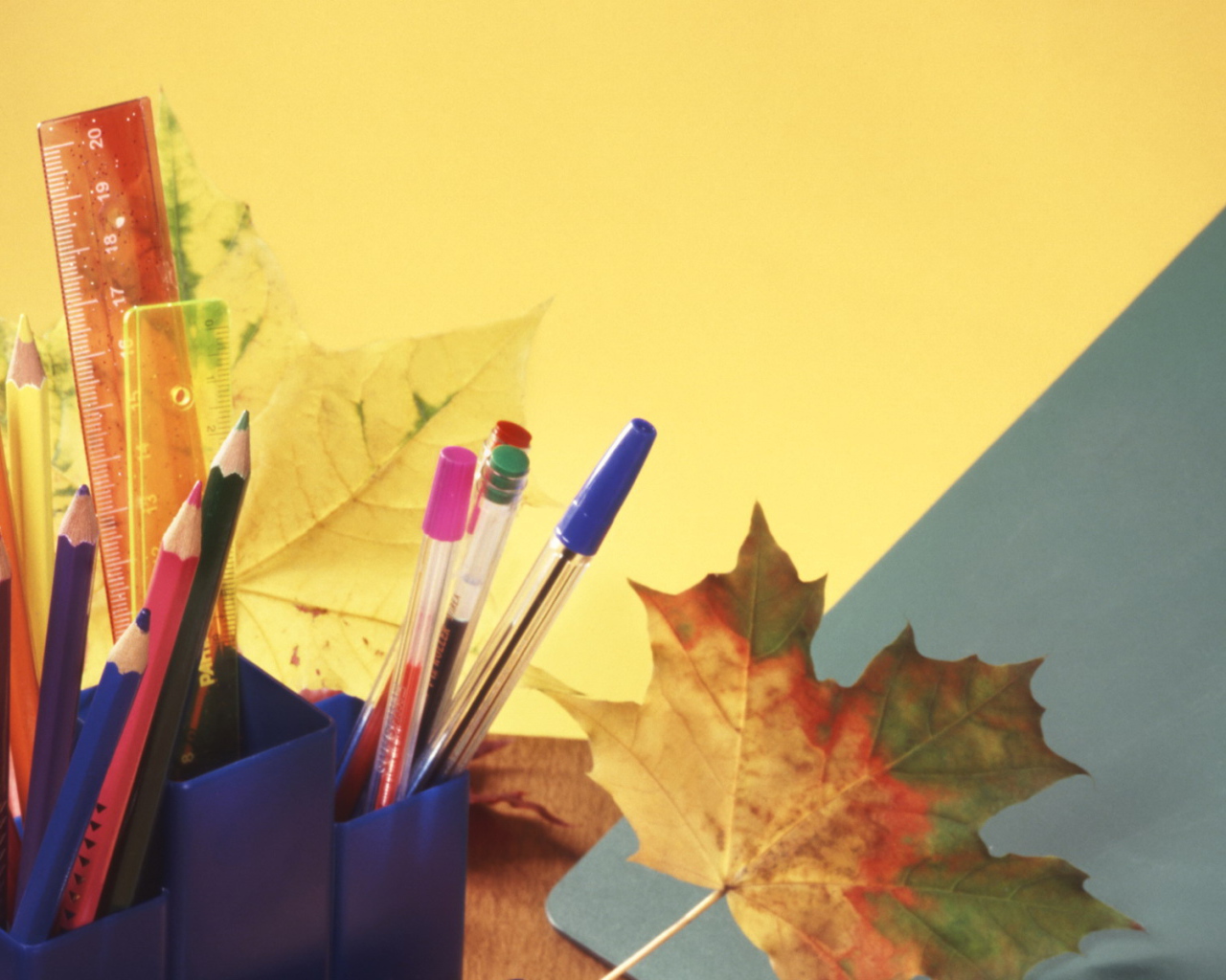 Новый учебный год