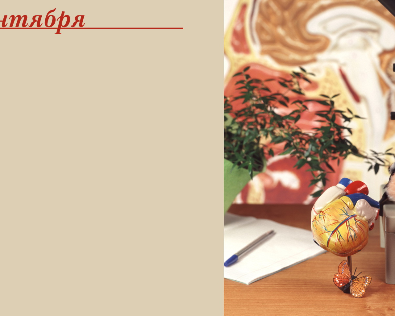 Начало учебного года