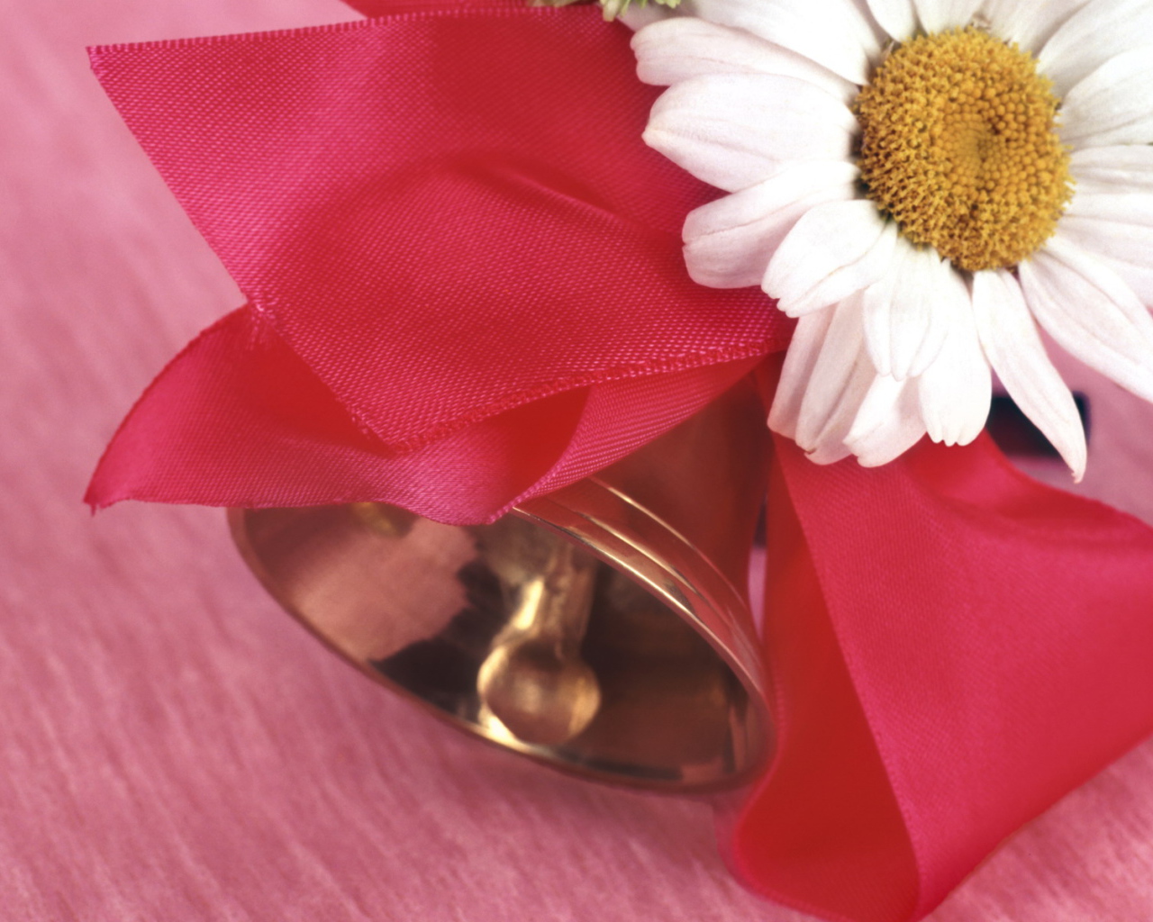 Начало учебы