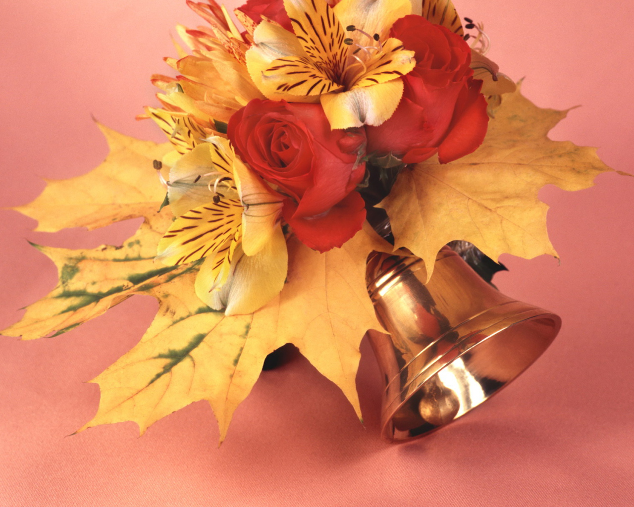 Первый день осени