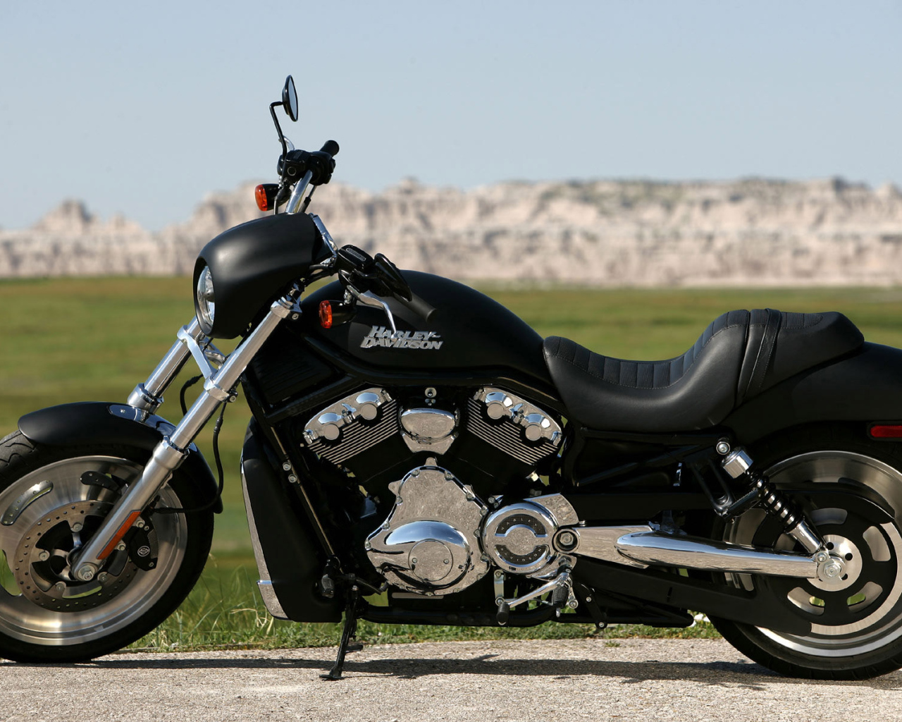 Black Harley Davidson motorcycle