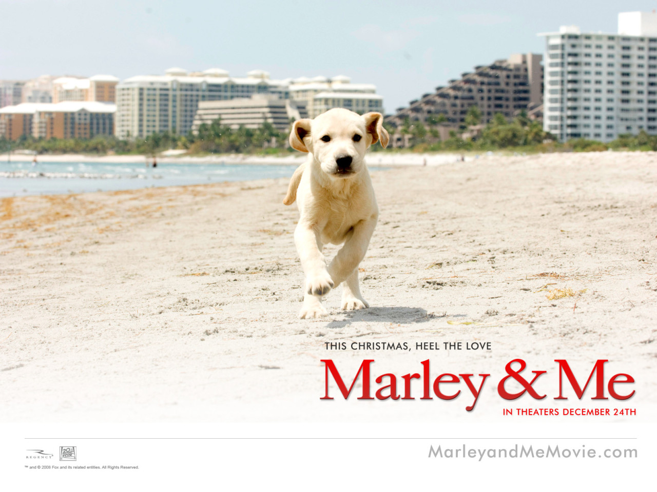 Марли и я / Marley & Me рождественская комедия