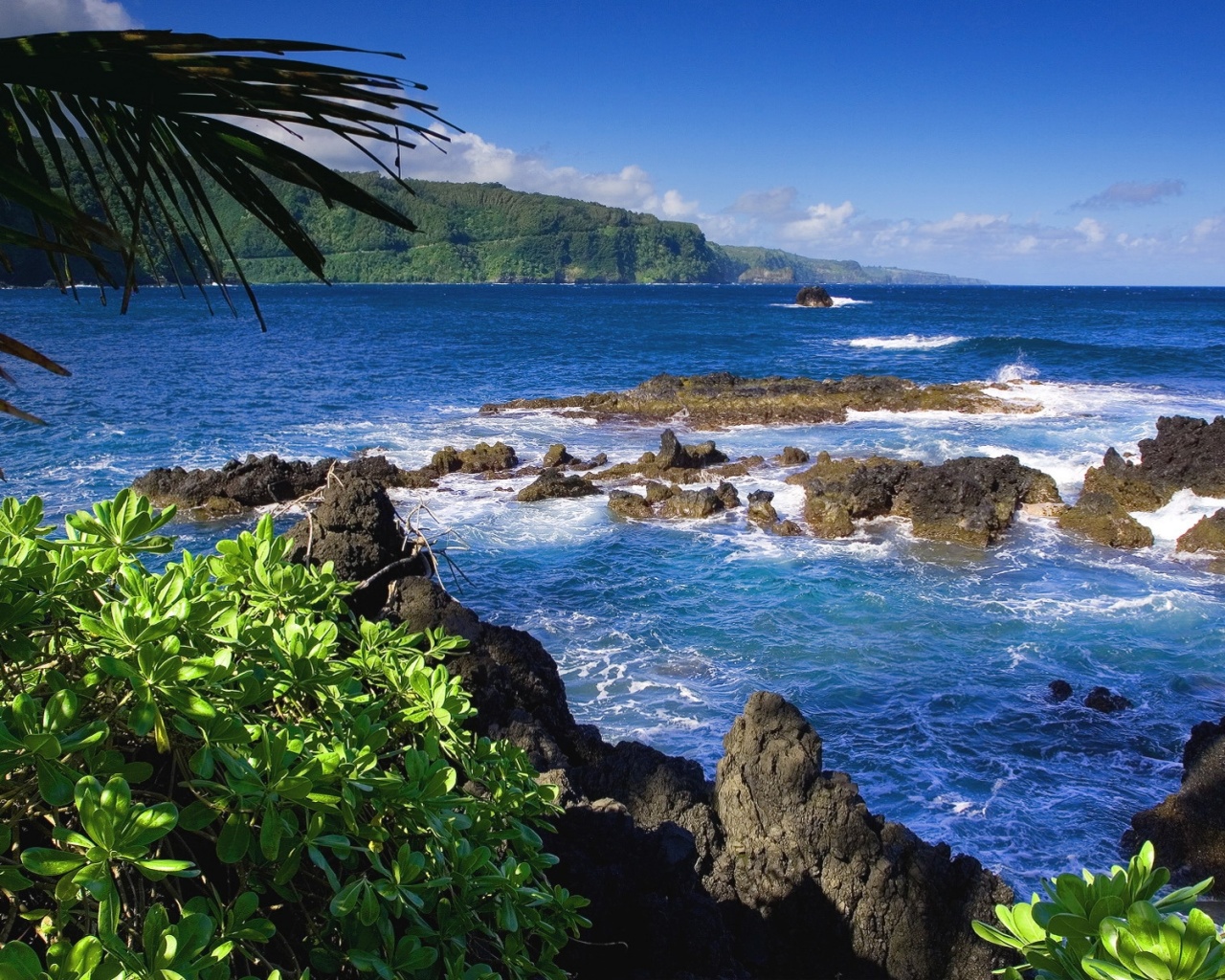 Райский залив