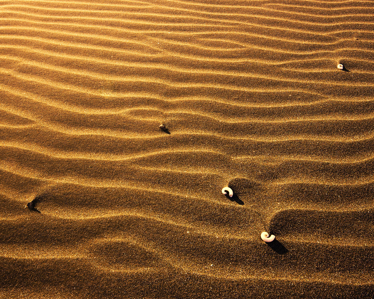 Пляжный песок