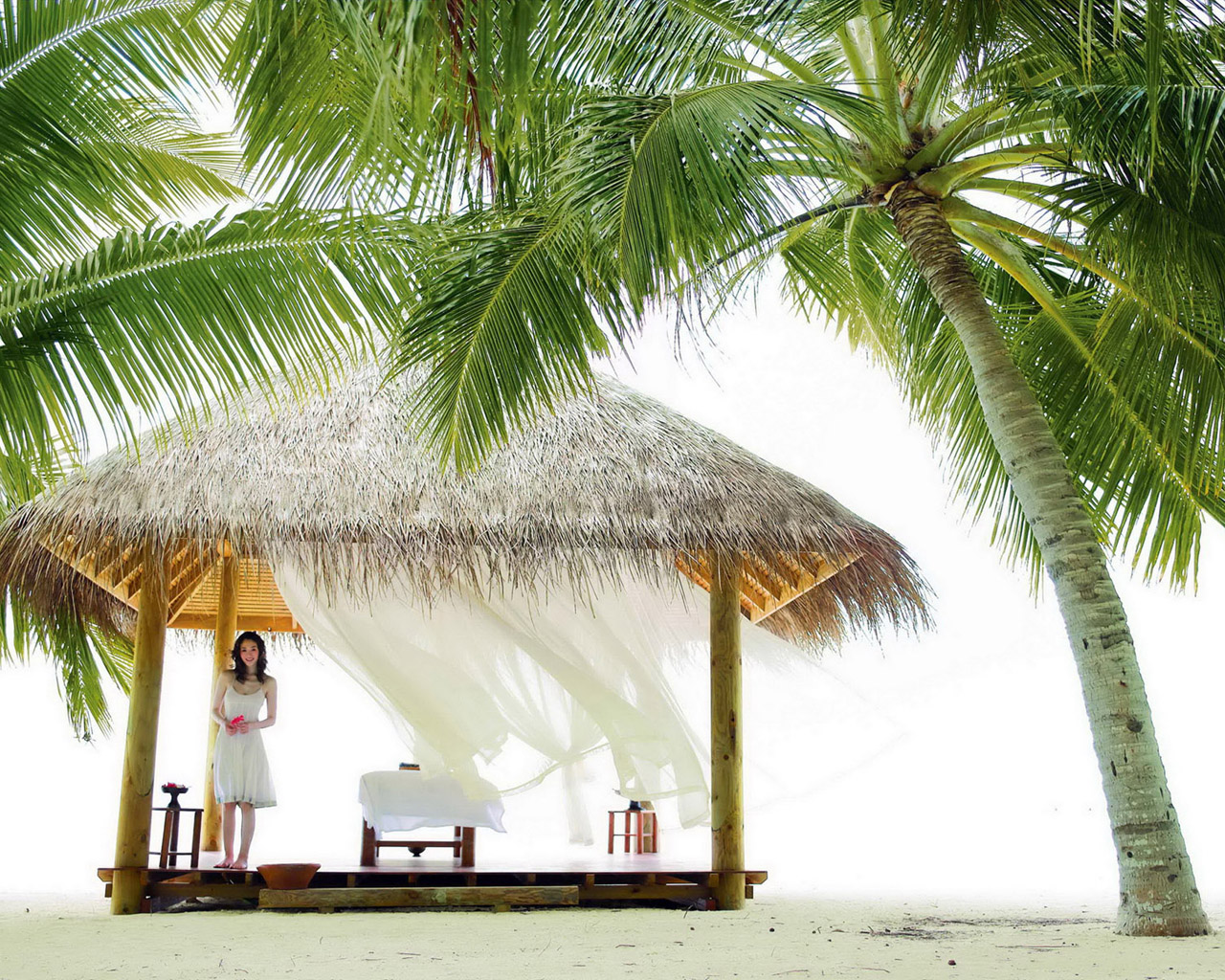 Беседка под пальмой