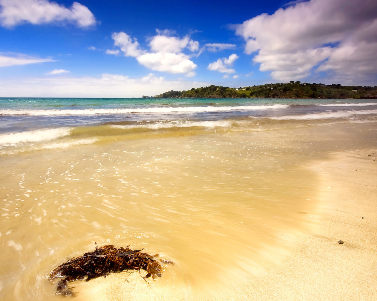 Летний день на пляже