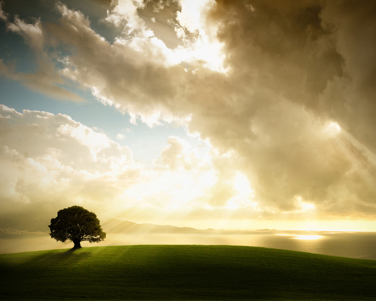 Приближающаяся буря