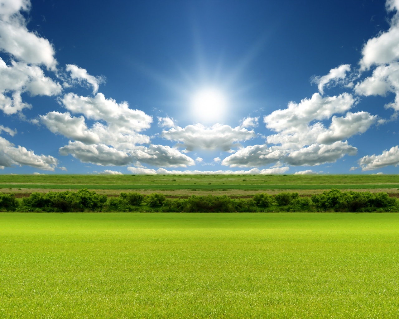 Зеленое поле под лазурным небом