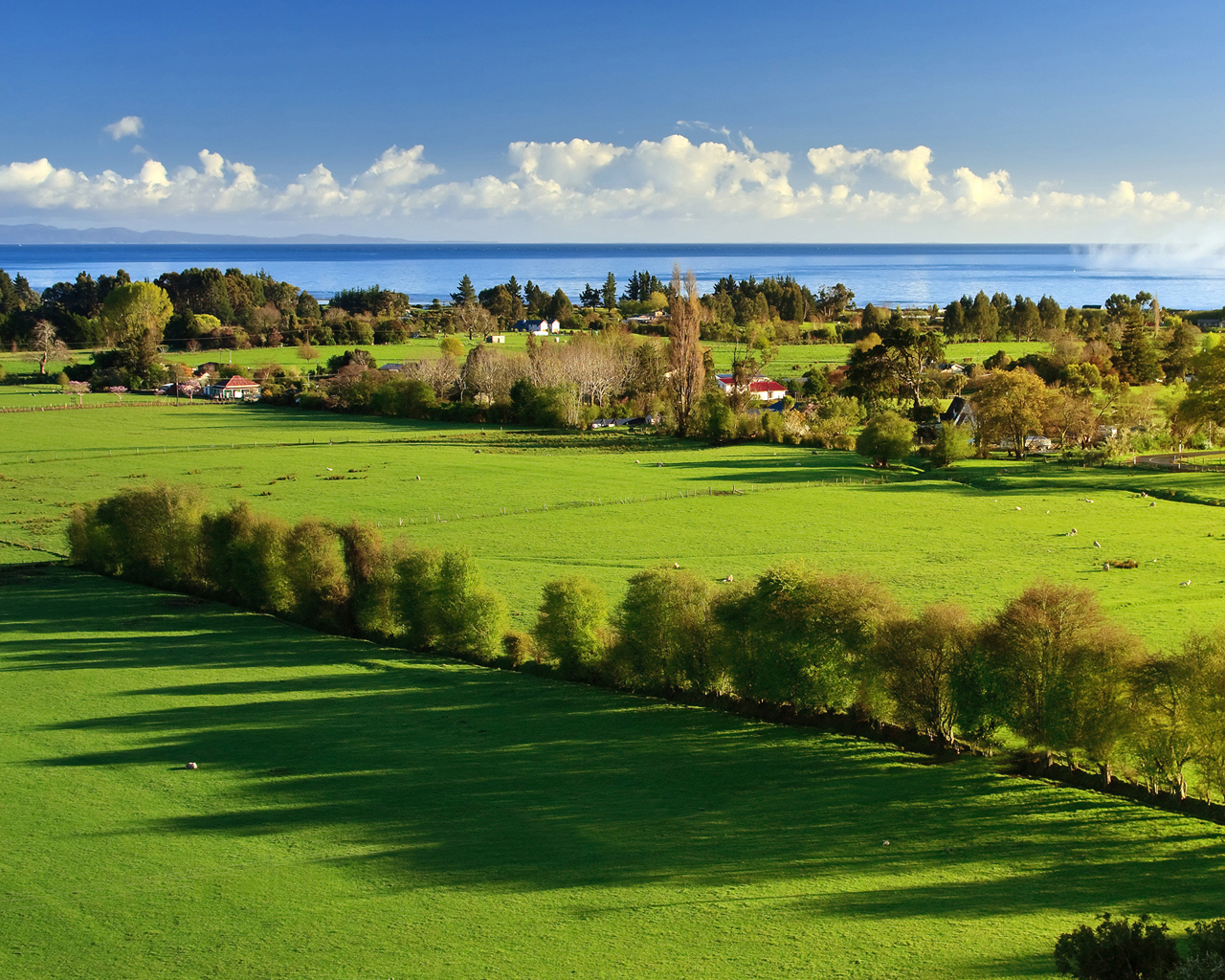 Утро в деревне
