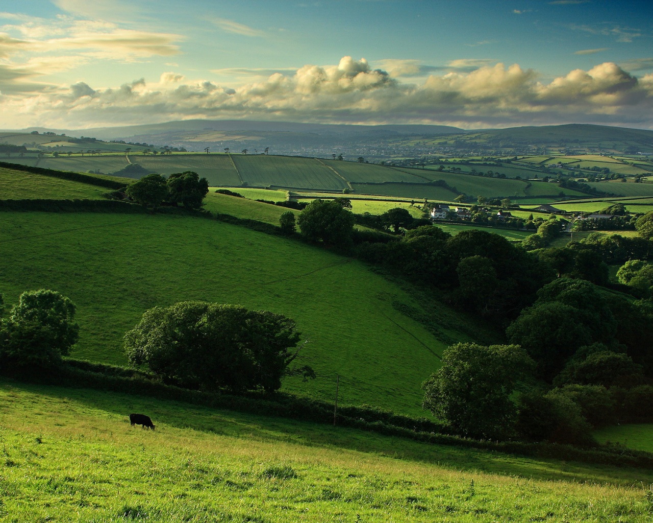 Деревенские поля