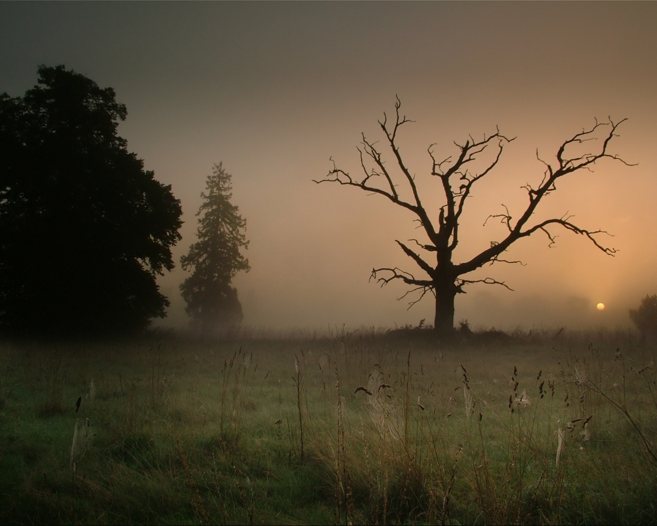 Сумрачный туман