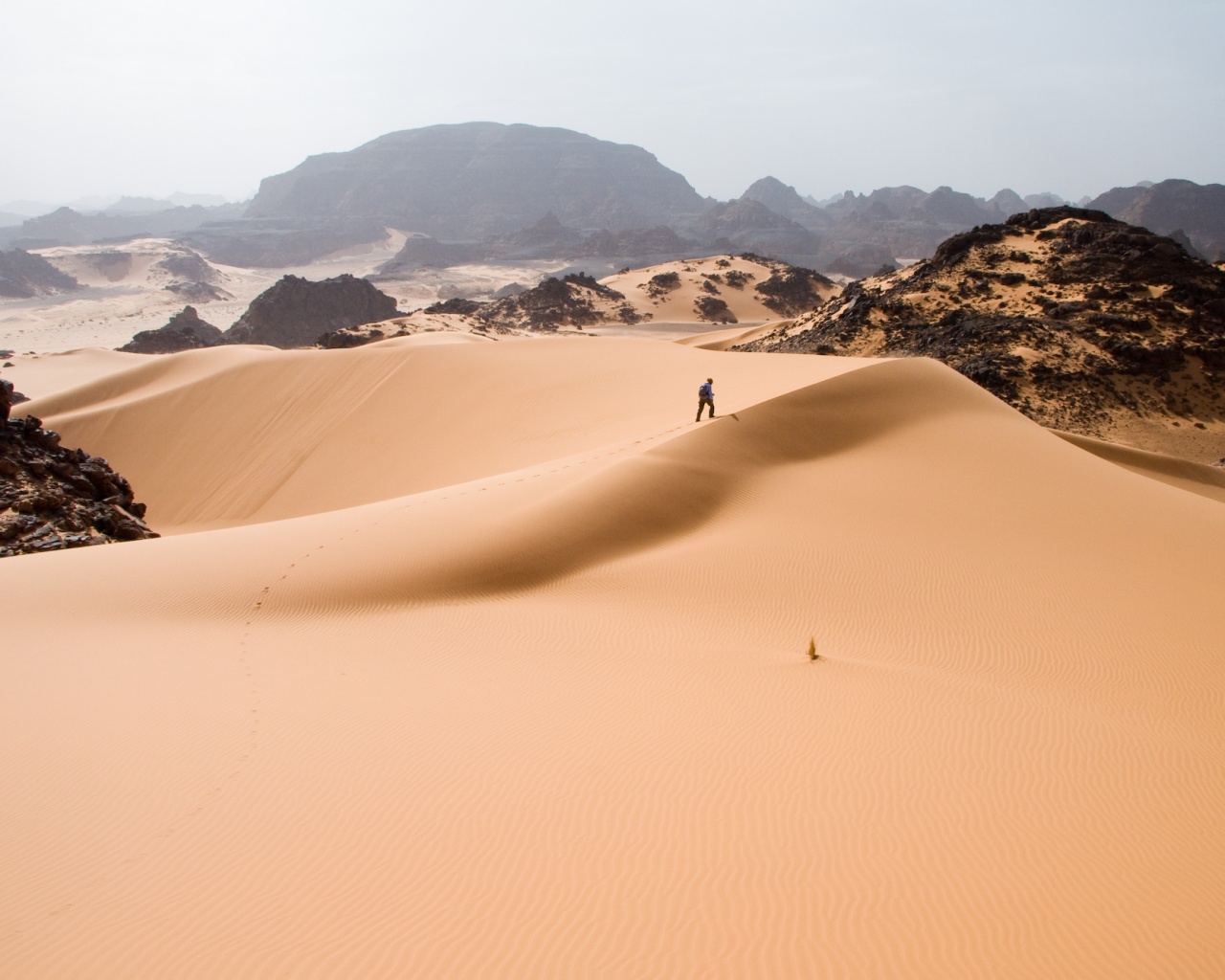 Путешествие по пустыне