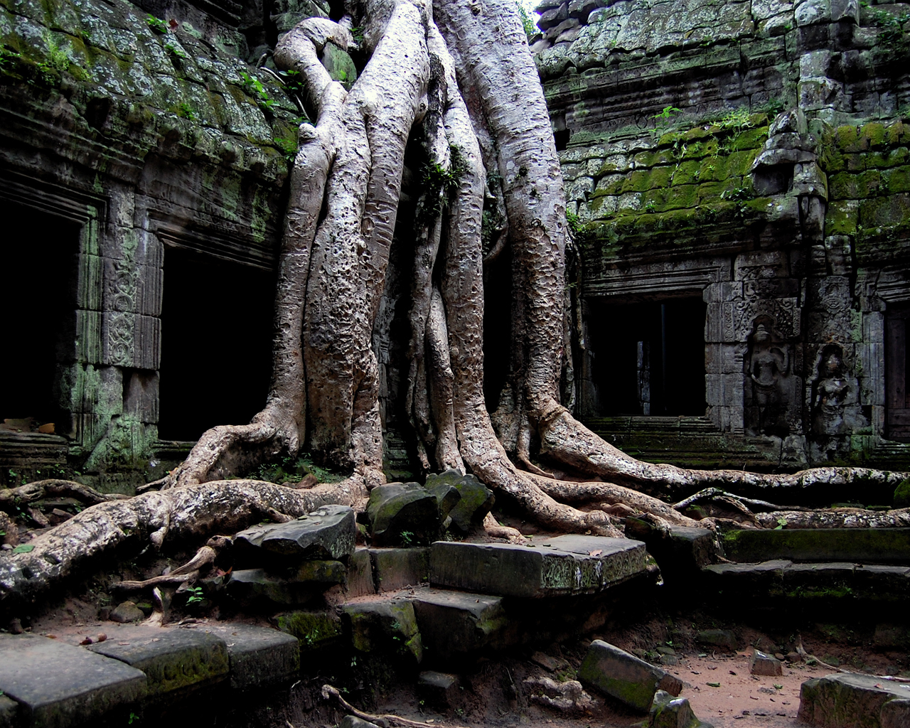 Храм в джунглях